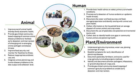 One Health Workers Innovations In Early Detection Of Human Animal And Plant Disease Outbreaks Published In Journal Of Global Health Reports