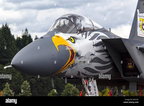 Oregon Air National Guard Fighter