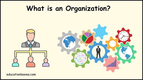 Organization