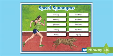 Speed Synonyms List