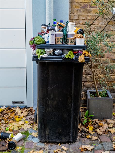 Overflowing Garbage Bins Dangers