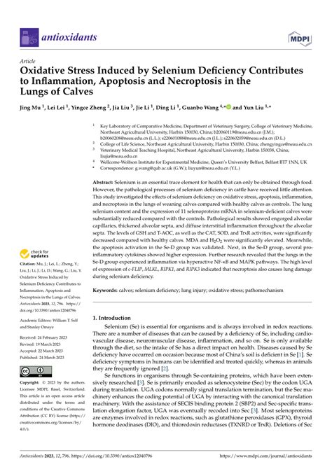 Oxidative Stress Induced By Selenium Deficiency Contributes To Inflammation Apoptosis And Necroptosis In The Lungs Of Calves