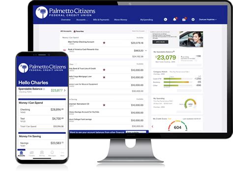 Palmetto Credit Union Online Banking