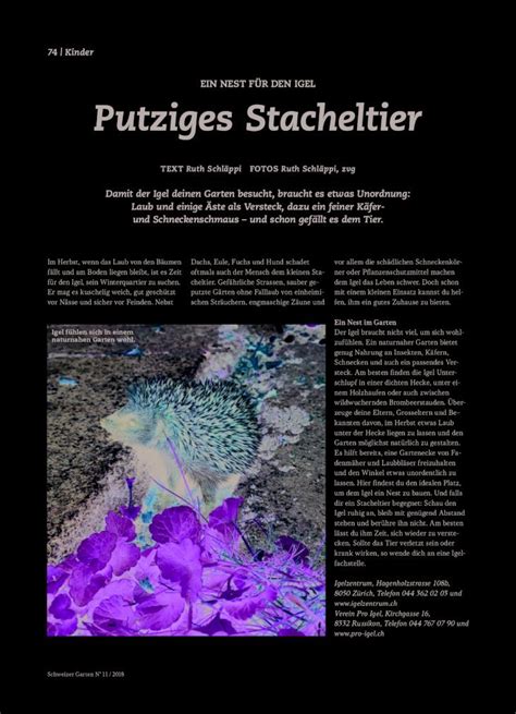 Pdf Ein Nest F R Den Igel Putziges Stacheltier Damit Der Igel