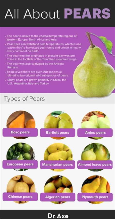 Pears Benefits And Side Effects