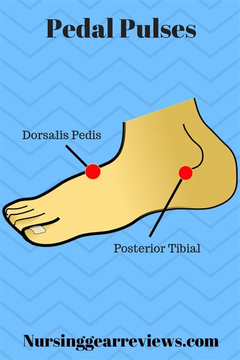 Pedal Medical Term