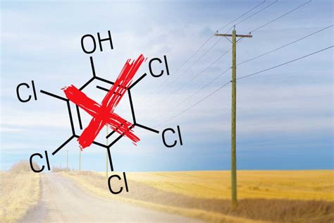 Pentachlorophenol Vs Creosote