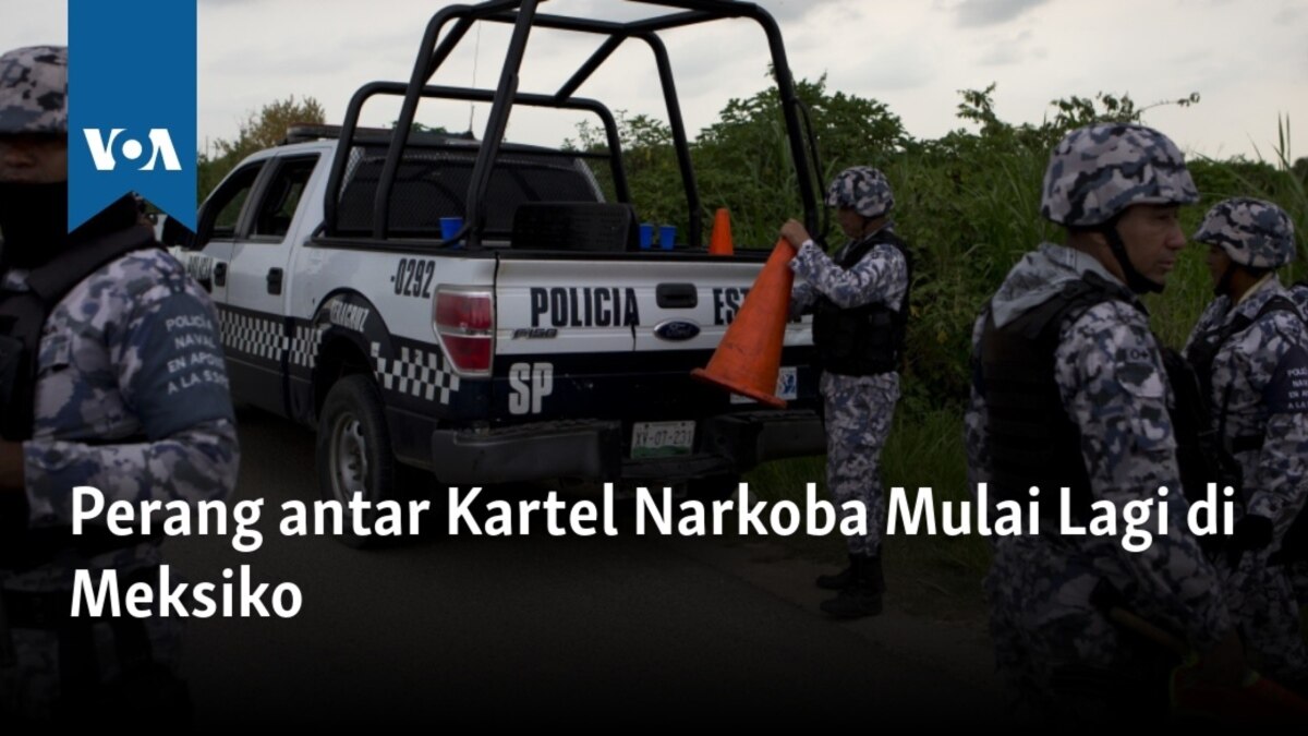 Perang Narkoba Meksiko