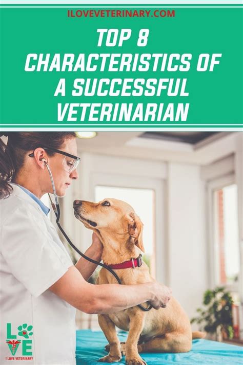 Personal Characteristics Of A Veterinarian