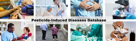 Pesticide Induced Diseases Endocrine Disruption Beyond Pesticides