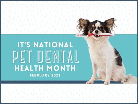 Pet Dental Health Month