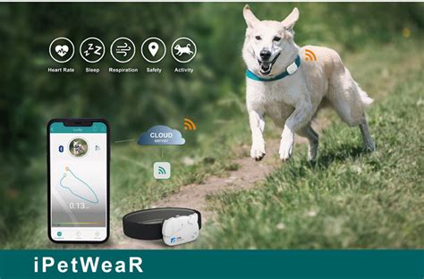 Pet Health Monitoring Collar