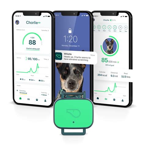 Pet Health Tracker Website