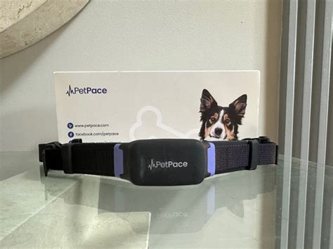 Petpace 2 0 Reviews