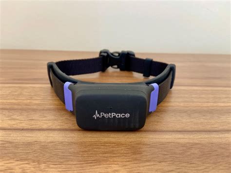 Petpace Collar Price