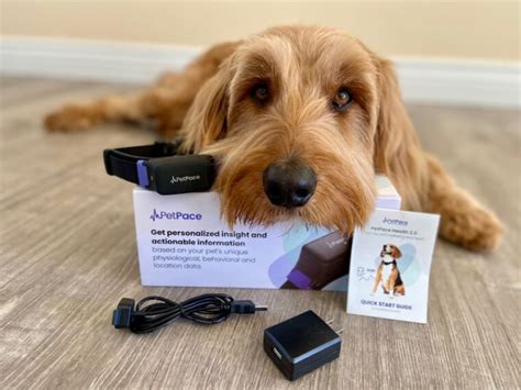 Petpace Reviews