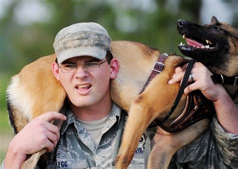 Photo Essay New Dog Handler Develop Bond At Moody Afb Amp Gt Air Force Amp Gt Article Display