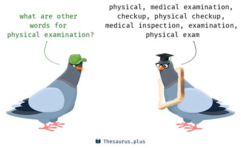 Physical Examination Synonym