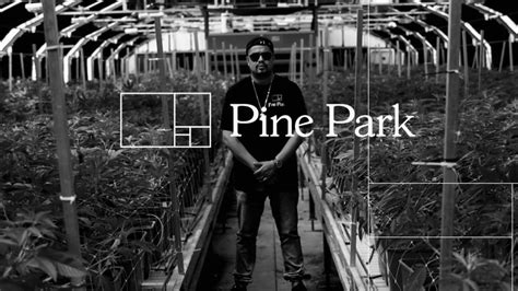 Pine Park Optic