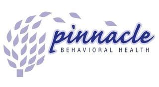 Pinnacle Behavioral Health Albany Alamat