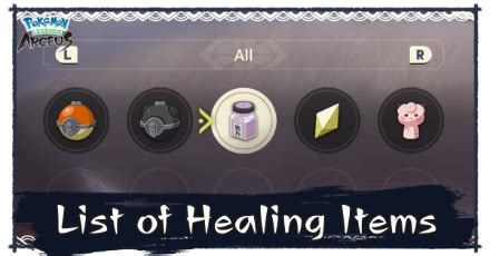 Pok Mon Healing Items