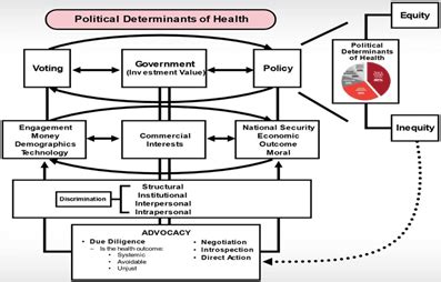 Political Factors That Affect Health