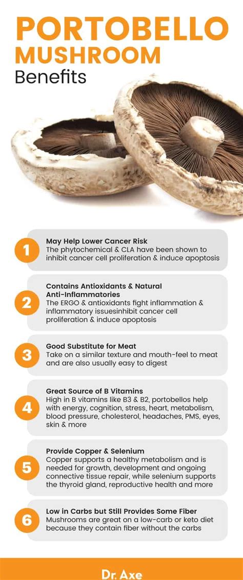 Portobello Mushroom Health Benefits