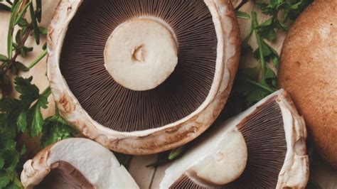 Portobello Mushroom Health Risks Liver