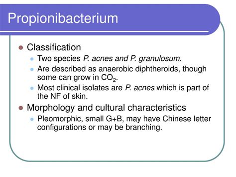 Ppt Actinomycetes And Propionibacterium Powerpoint Presentation Free