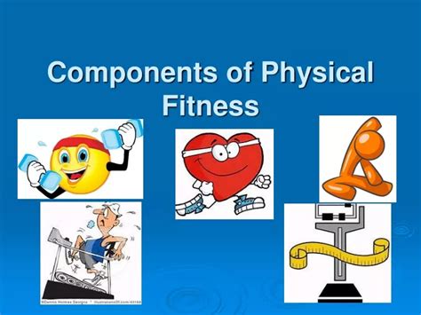 Ppt The Fitness Components Powerpoint Presentation Free Download