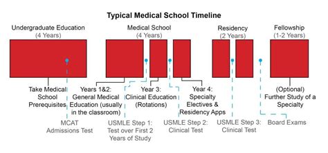 Pre Med Course Timeline