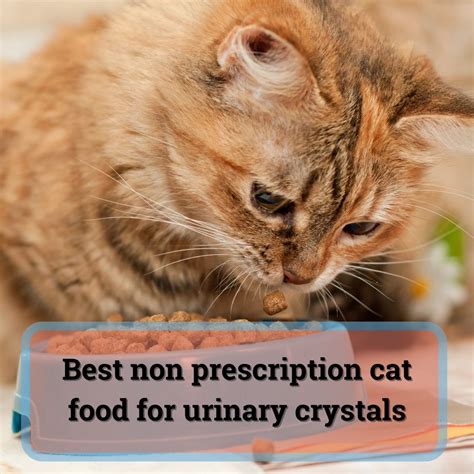 Prescription Cat Food Urinary Crystals