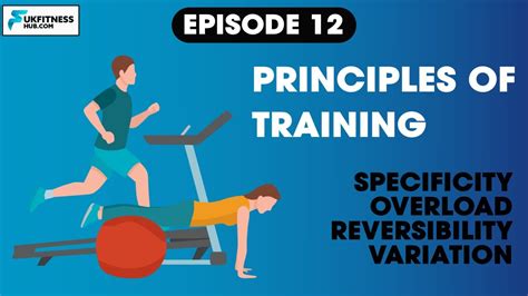 Principles Of Training Youtube