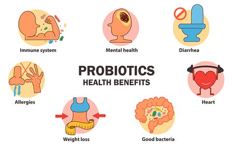 Probiotics Health Benefits Gut Of Woman With Good Bacteria Set