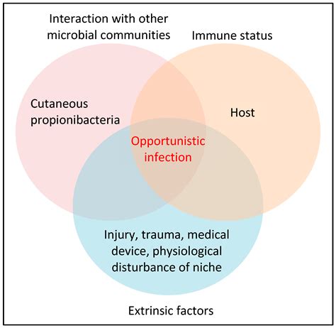 Propionibacterium Acnes And Acne Vulgaris New Insights From The Integration Of Population Genetic Multi Omic Biochemical And Host Microbe Studies