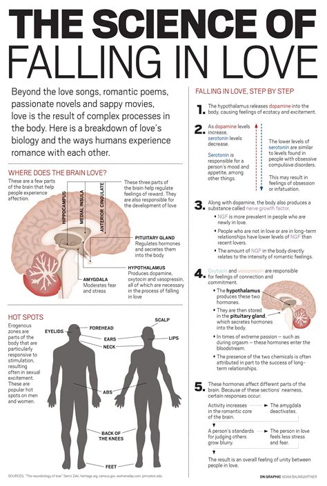 Psychological Tips For Love In 2020 Brain Facts Medical Knowledge