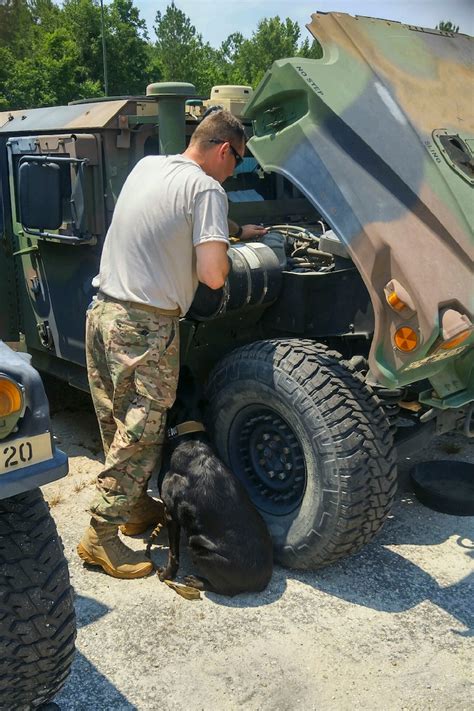 Ptsd Awareness Month South Carolina Soldier Sheds Light National Guard Guard News The National Guard