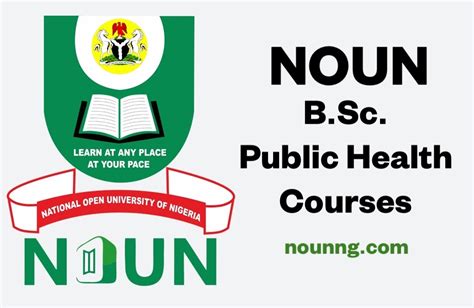 Public Health Nurse Entry Requirements