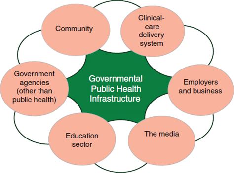 Public Health Policy Roles