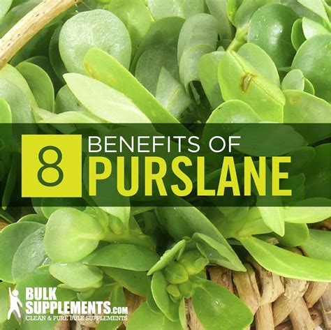 Purslane Benefits For Hair