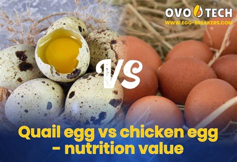 Quail Egg Vs Chicken Cholesterol