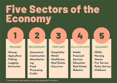 Quinary Sector Of The Economy Definition And Examples 2024