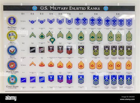 7 Army Ranks