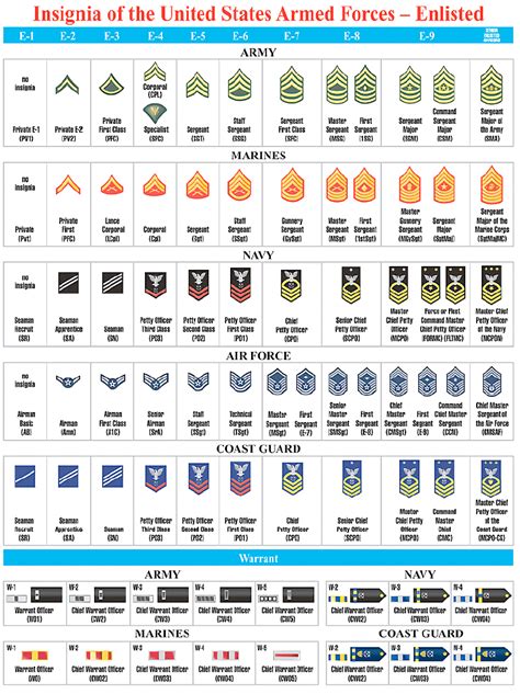 Top 5 Military Branches