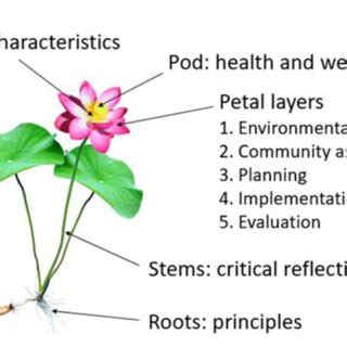 Red Lotus Critical Health Promotion Model Reproduced With Permission Download Scientific Diagram