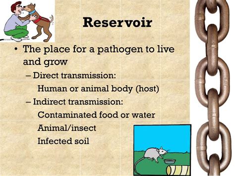 Reservoir Meaning In Medical Terms