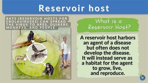 Reservoir Vs Host