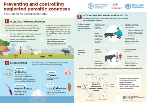 Resources For The Prevention And Control Of Neglected Parasitic