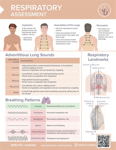 Respiratory Assessment Nursing