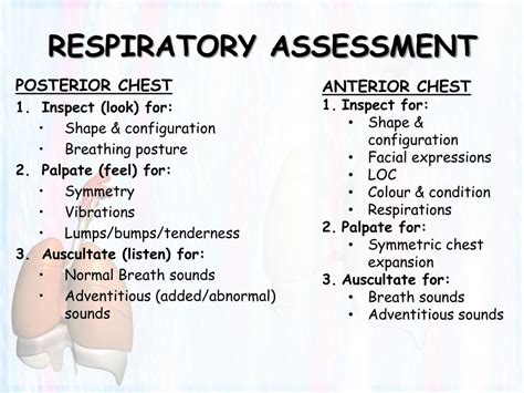 Respiratory Assessment Ppt